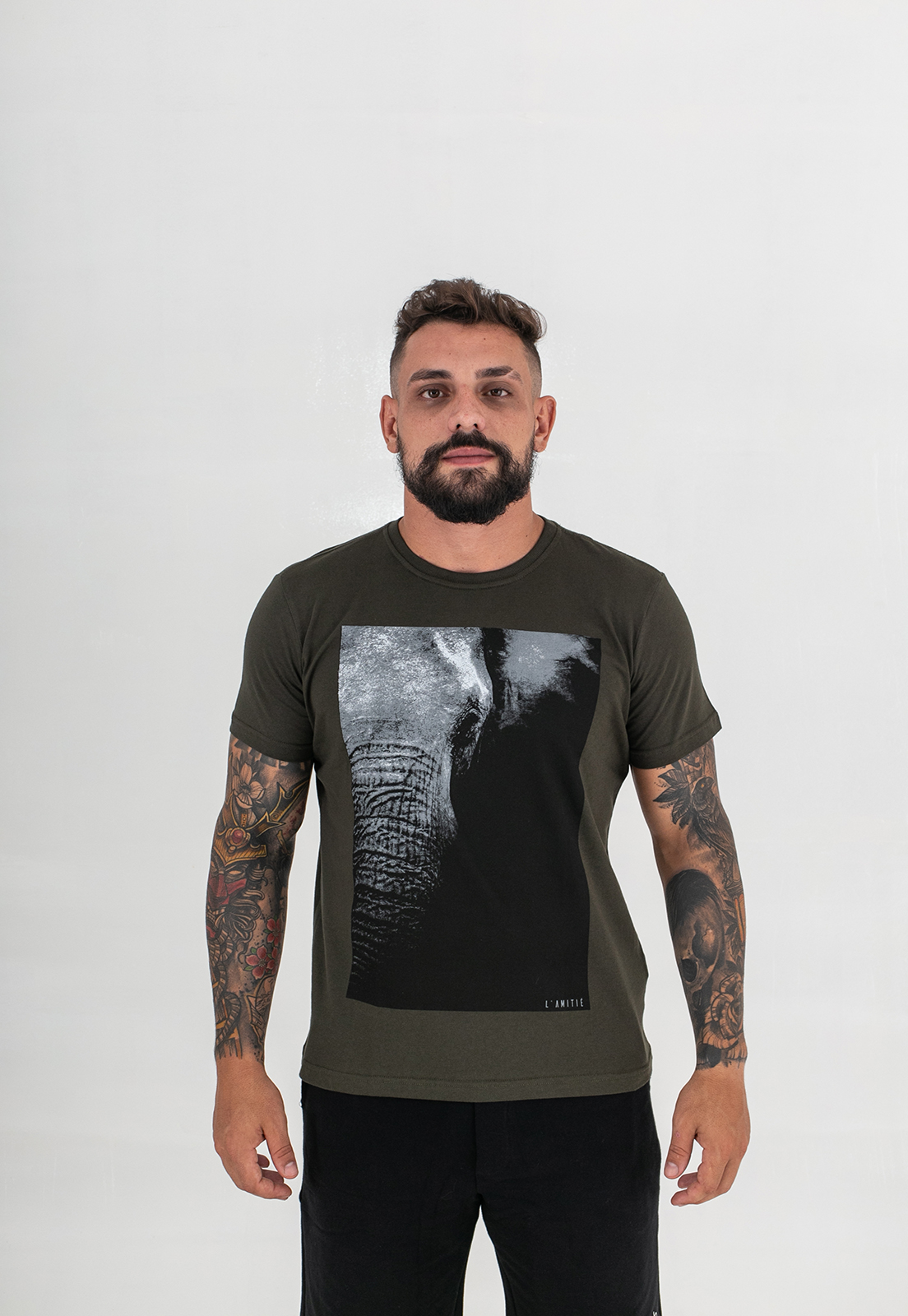 Elefante